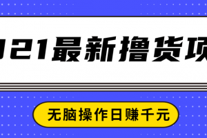 2021最新擼貨項(xiàng)目，一部手機(jī)即可實(shí)現(xiàn)無腦操作輕松日賺千元
