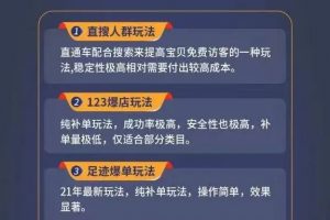 數據蛇淘寶2021最新三大補單玩法+稽查規則，降低90%被抓概率