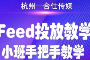 合仕傳媒Feed投放教學(xué)，手把手教學(xué)，開車燒錢必須自己會(huì)