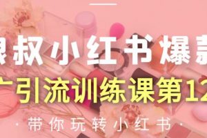 狼叔小紅書爆款推廣引流訓(xùn)練課第12期，手把手帶你玩轉(zhuǎn)小紅書