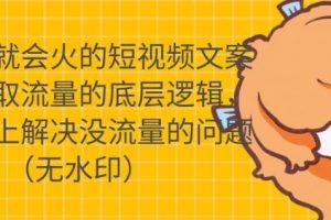 只說話就會火的短視頻文案課，從根本上解決沒流量的問題
