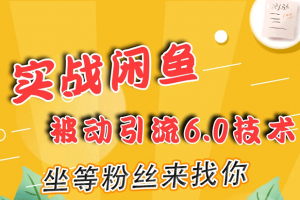 實戰閑魚被動引流6.0技術，坐等粉絲來找你，打造賺錢的ip(16節課+話術指導)