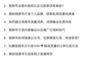 從0到1帶你玩賺視頻號：這么玩才賺錢，日引流500+日收入1000+核心玩法