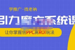 老衲·引力魔方系統課，讓你掌握低PPC高ROI玩法，價值299元