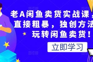 老A閑魚賣貨實戰課，簡單直接粗暴，獨創方法帶你玩轉閑魚賣貨！