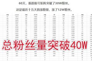 倪葉明·藍海公眾號矩陣項目訓練營，0粉冷啟動，公眾號矩陣賬號粉絲突破30w