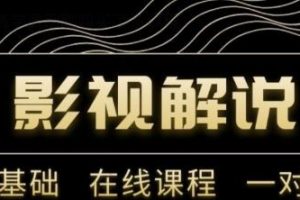野草追劇:影視解說陪跑訓練營，從新手進階到成熟自媒體達人 價值699元