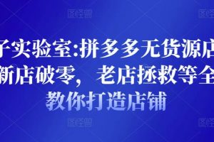 野路子實驗室:拼多多無貨源店群項目，新店破零，老店拯救等全方位教你打造店鋪