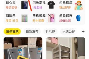 閑魚掛機單號3元/天，每天僅需2分鐘，可無限放大，穩定長久掛機項目！