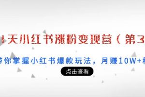 21天小紅書漲粉變現營（第3期）：帶你掌握小紅書爆款玩法，月賺10W+秘密