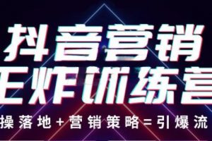 抖音營銷王炸訓練營，實操落地+營銷策略=引爆流量（價值8960元）