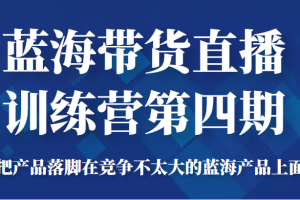 藍海帶貨直播訓練營第四期，把產品落腳在競爭不太大的藍海產品上面（價值4980元）