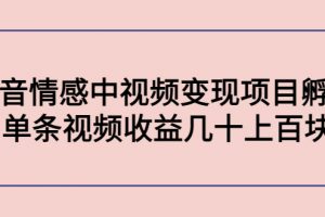 副業孵化營第5期：抖音情感中視頻變現項目孵化 單條視頻收益幾十上百