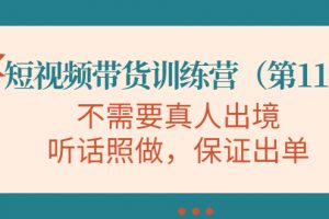 視頻帶貨訓練營，不需要真人出境，聽話照做，保證出單（第11期）
