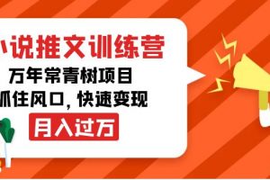 小說推文訓練營，萬年常青樹項目，抓住風口，快速變現月入過萬