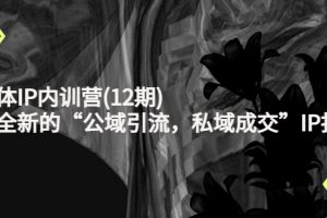 新媒體IP內(nèi)訓(xùn)營(yíng)(12期)，一套全新的“公域引流，私域成交”IP打法，直接帶走