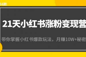 21天小紅書漲粉變現營（第4期）：帶你掌握小紅書爆款玩法，月賺10W+秘密
