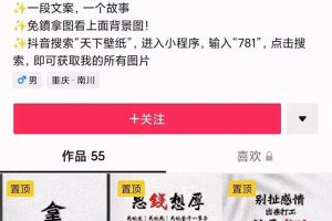 國潮壁紙變現項目，新手可操作日賺200 【素材 軟件 教程】