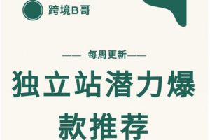 【跨境B哥】獨(dú)立站潛力爆款選品推薦，測(cè)款出單率高達(dá)百分之80（每周更新）