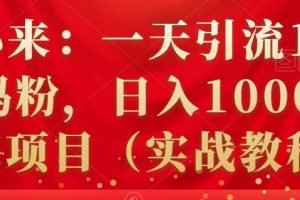 祖小來(lái)：一天引流100 寶媽粉，日入1000 的藍(lán)海項(xiàng)目（實(shí)戰(zhàn)教程）