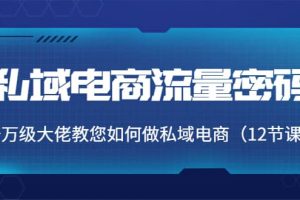 私域電商流量密碼：千萬級大佬教您如何做私域電商（12節課）