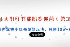 21天小紅書漲粉變現營（第3期）：帶你掌握小紅書爆款玩法，月賺10W 秘密
