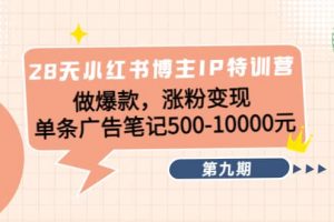 28天小紅書博主IP特訓營《第9期》