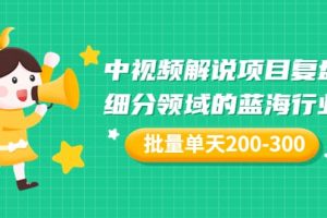 某付費文章：中視頻解說項目復盤：細分領域的藍海行業 批量單天200-300收益