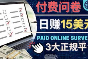 參與付費調(diào)查，利用自己的空閑時間完成問卷，適合新手的平臺，日賺15美元