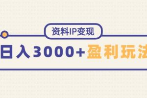資料IP變現(xiàn)，持續(xù)性盈利玩法