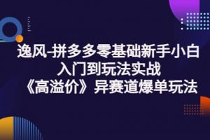 拼多多零基礎新手小白入門到玩法實戰《高溢價》異賽道爆單玩法實操課