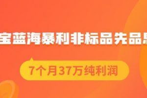 盜坤淘寶藍(lán)海暴利非標(biāo)品先品思路，7個(gè)月37萬純利潤(rùn)，壓箱干貨分享！【付費(fèi)文章】