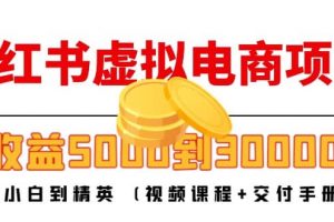 小紅書虛擬電商項(xiàng)目：從小白到精英 (視頻課程 交付手冊)