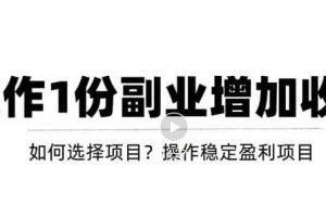 新手如何通過操作副業(yè)增加收入，從項(xiàng)目選擇到玩法分享！【視頻教程】