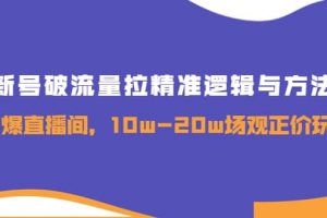 新號破流量拉精準邏輯與方法，引爆直播間，10w-20w場觀正價玩法