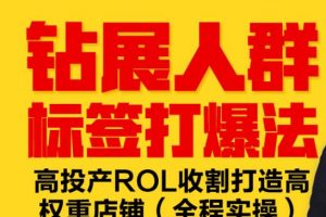 鉆展人群標(biāo)簽打爆法，高投產(chǎn)ROL收割打造高權(quán)重店鋪(全程實(shí)操)