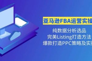 亞馬遜FBA運營實操課 純數據分析選品 完美Listing打造 爆款打造PPC策略實操