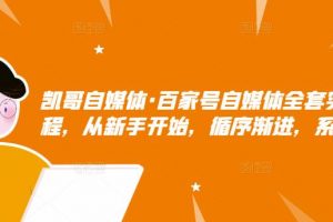 凱哥自媒體·百家號自媒體全套實(shí)戰(zhàn)賺錢教程，從新手開始，循序漸進(jìn)，系統(tǒng)的講解