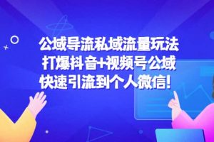 公域?qū)Я魉接蛄髁客娣ǎ捍虮兑?視頻號公域