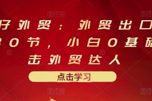 業仔外貿：外貿出口詳解30節，小白0基礎進擊外貿達人 價值666元