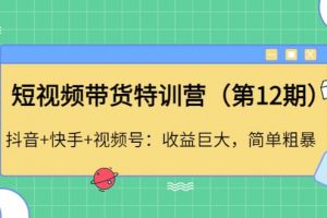 短視頻帶貨特訓營（第12期）抖音 快手 視頻號