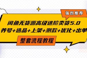 閑魚無貨源高級進階賣貨5.0，養號 選品 上架 測款 優化 出單整套流程教程