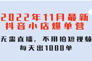 2022年11月最新抖音小店爆單訓(xùn)練營：無需直播，不用拍短視頻，每天出1000單