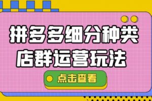 拼多多細分種類店群運營玩法3.0，11月最新玩法，小白也可以操作