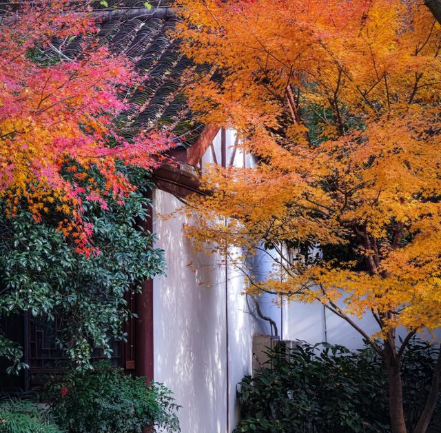 杭州寺廟杭州寺廟有哪些香火比較旺的插圖2 杭州寺廟杭州寺廟有哪些香火比較旺的插圖2