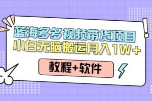 人人都能操作的藍海多多視頻帶貨項目 小白無腦搬運（教程 軟件）