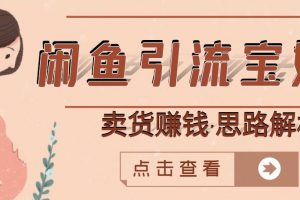 閑魚引流寶媽粉 賣貨賺錢一個月收益30000 （實操視頻教程）