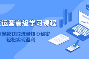 淘寶運營高級學習課程：快速獲取流量核心秘密，輕松實現盈利！