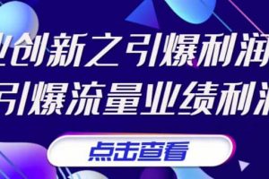 張琦《商業創新之引爆利潤增長》引爆流量業績利潤