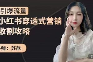 蘇歆：小紅書穿透式營銷收割攻略，引爆流量，助你玩轉(zhuǎn)小紅書